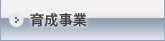 琬